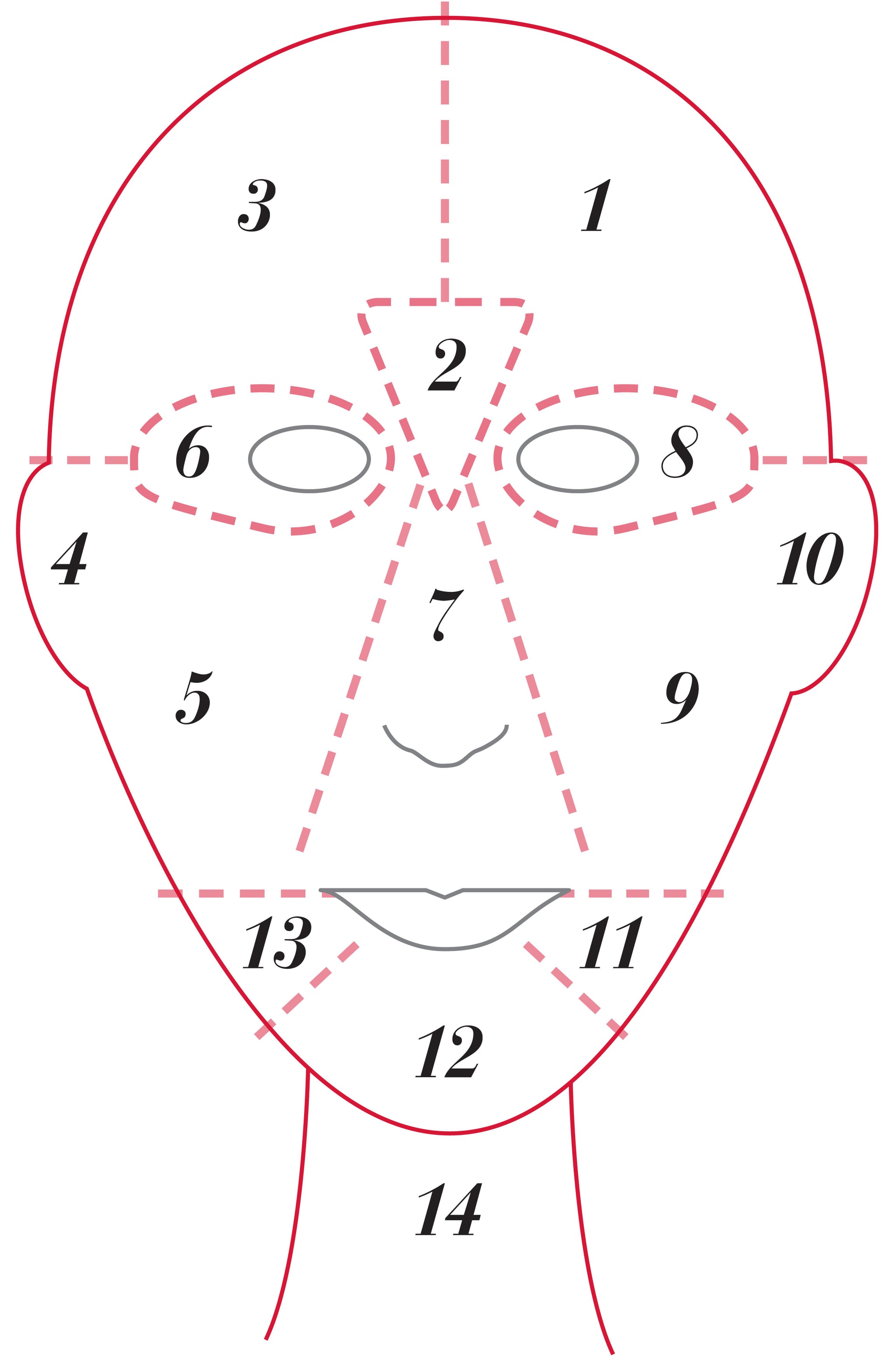 30+ Acne Zones Face Map
 Images