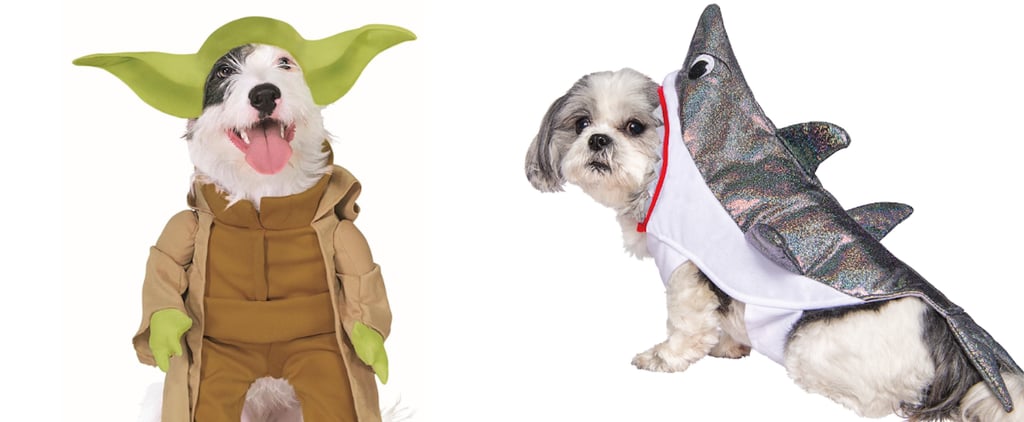 The Best Dog Halloween Costumes From Walmart