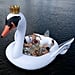 Giant Swan Pool Float