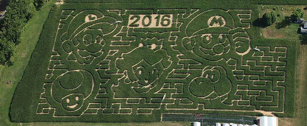 New York Super Mario Brothers Corn Maze