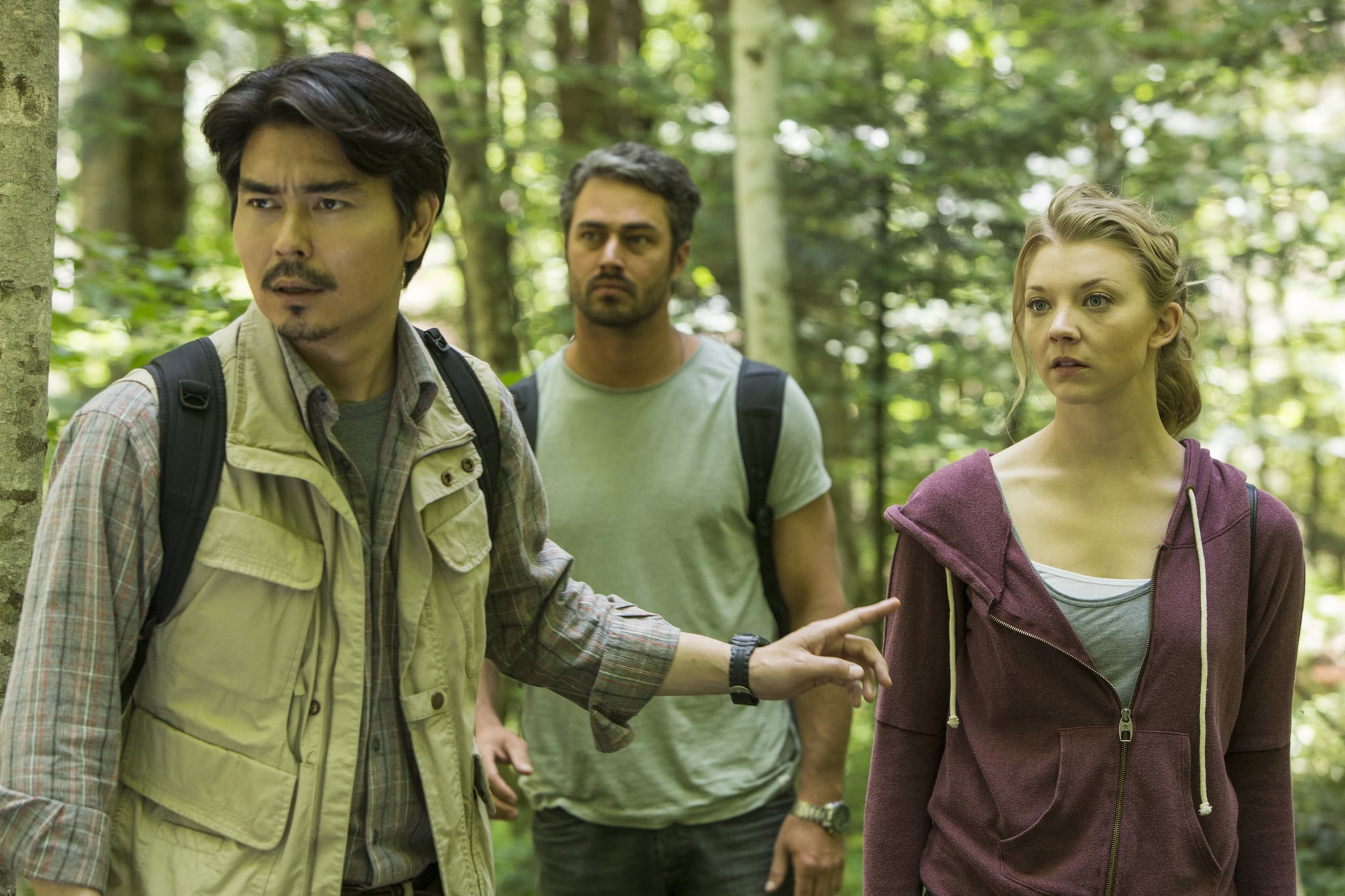 The Forest Itself Is Dark Ominous And Eerily Quiet 6 Fascinating Facts About Aokigahara Japan S Legendary Suicide Forest Popsugar Entertainment Photo 3 The Forest Itself Is Dark Ominous And Eerily Quiet 6 Fascinating Facts About Aokigahara Japan S Legendary Suicide Forest Popsugar Entertainment Photo 3