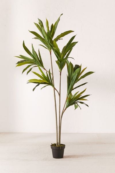 Dracena 5' Potted Faux Tree
