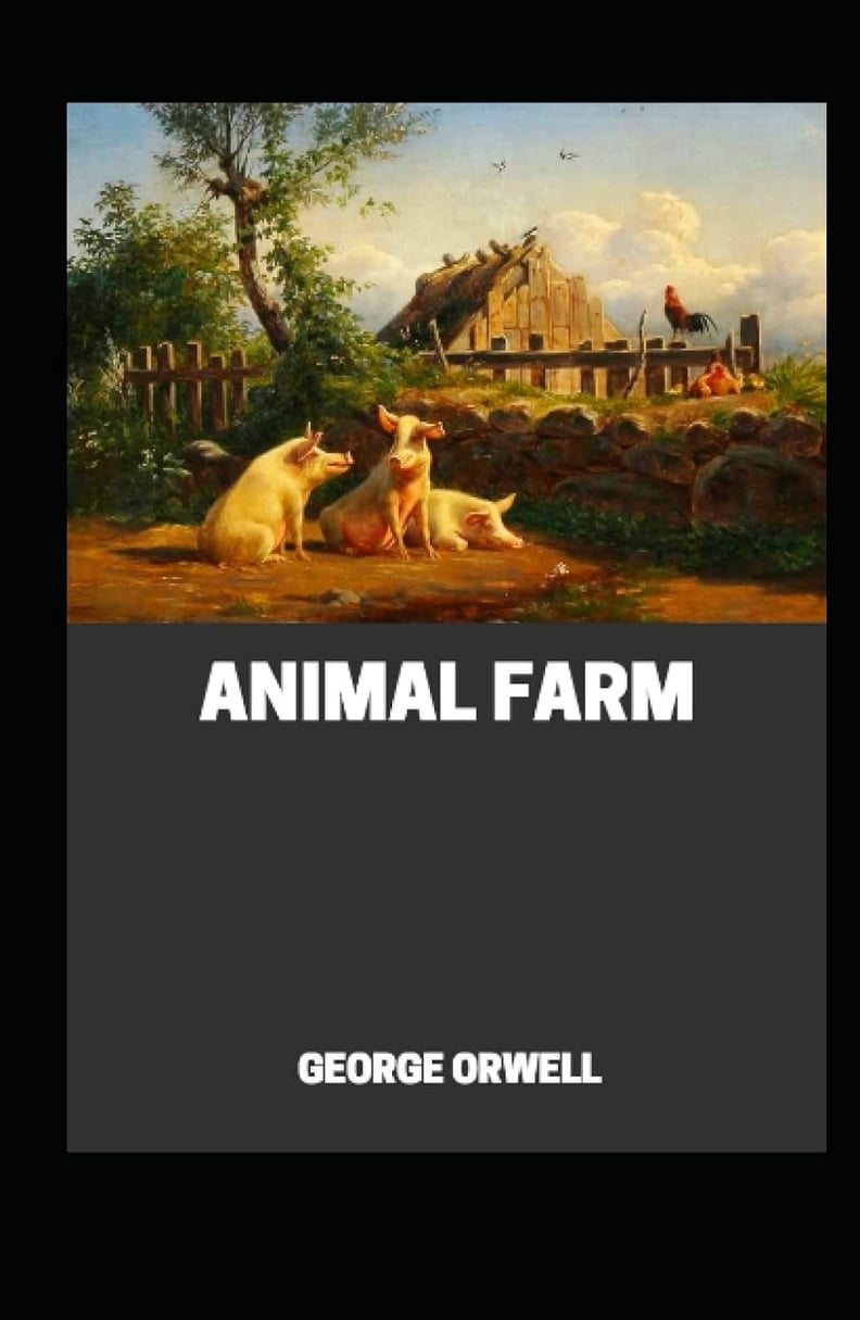 A book from an animal's POV
