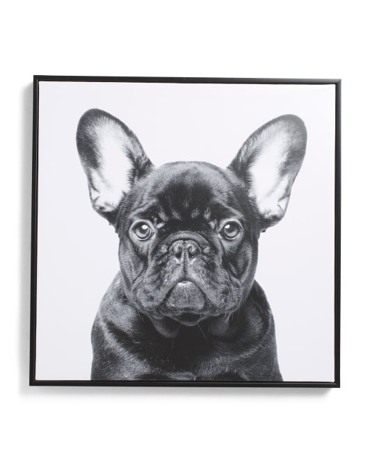 frenchie wall art