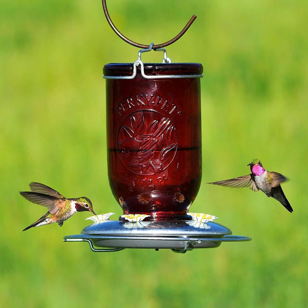 Perky-Pet Red Mason Jar Decorative Glass Hummingbird Feeder