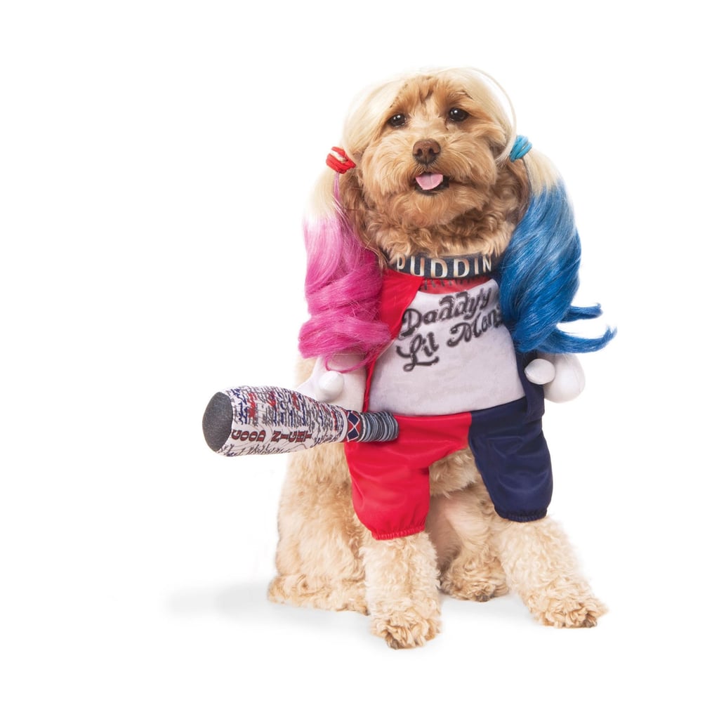 Suicide Squad Harley Quinn Pet Halloween Costume