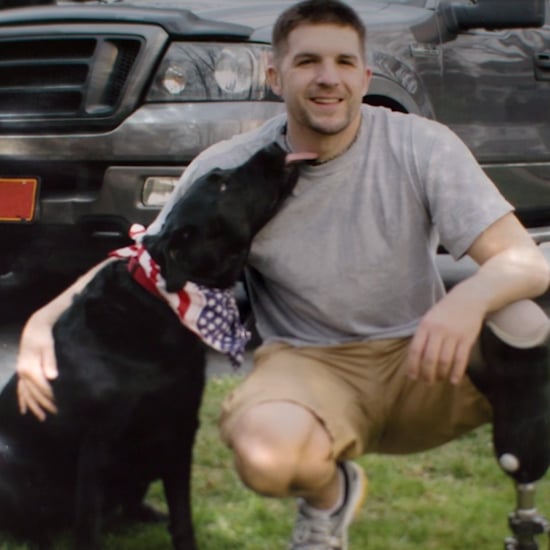 Service Dog For Soldier With PTSD