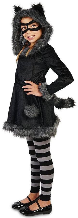 Raccoon Costume