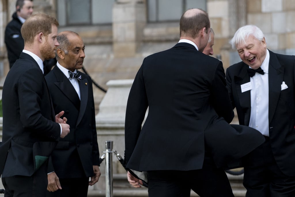 Harry, William, and Charles at Our Planet Premiere 2019
