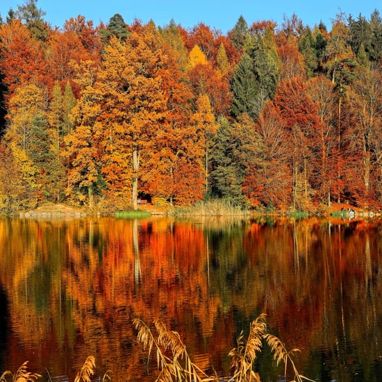 Pretty Pictures of Fall