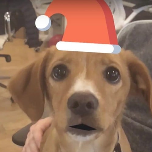 Animated Holiday Cards of Dog