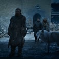 Game of Thrones Fans Are Calling Jon Snow Out For What He Did to Ghost, and I Kind of Agree