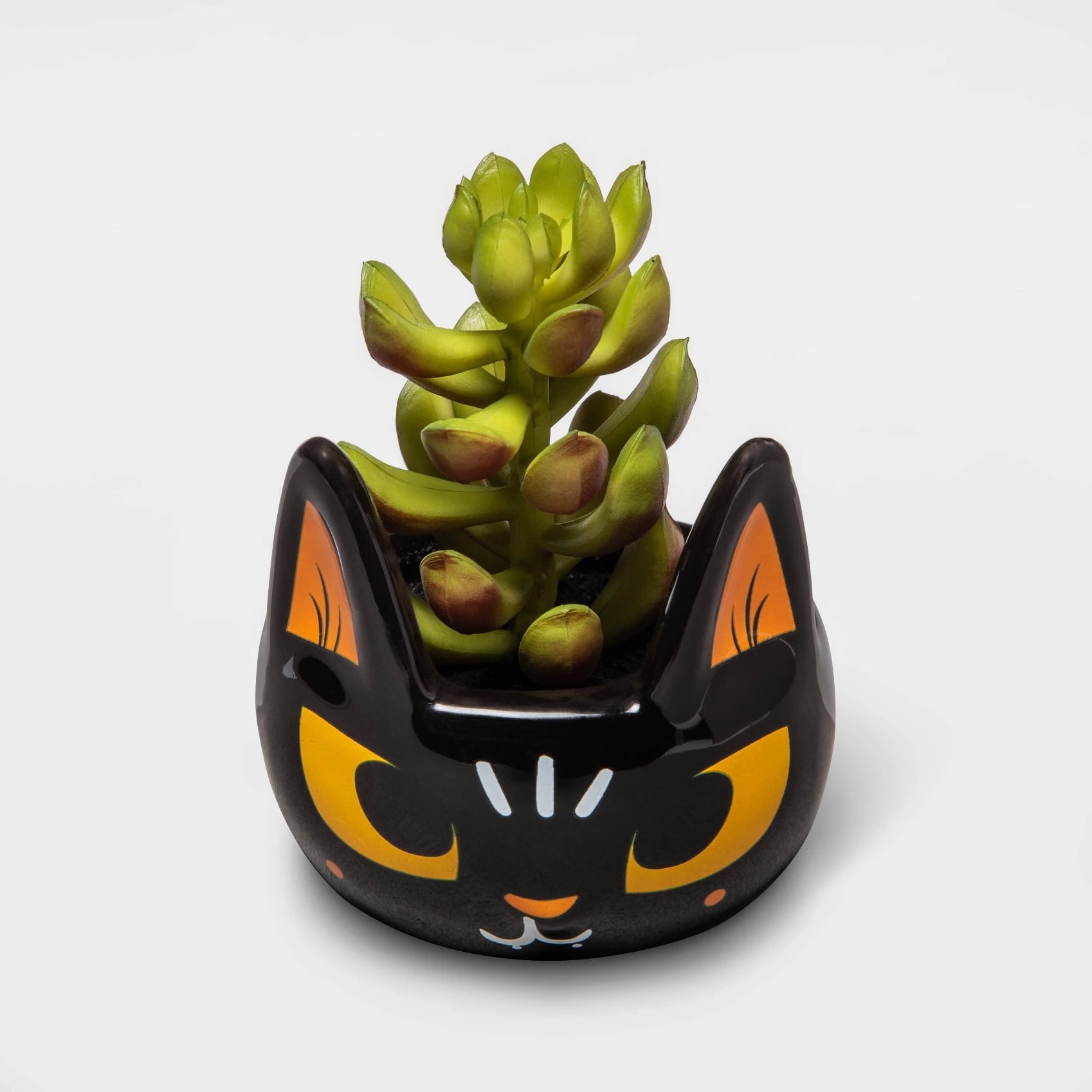 Halloween Succulents From Target Popsugar Home