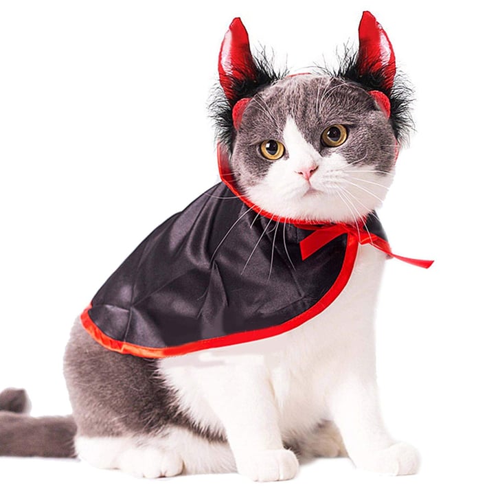 Devil Cat Costume | Best Cat Costumes For Halloween 2020 | POPSUGAR