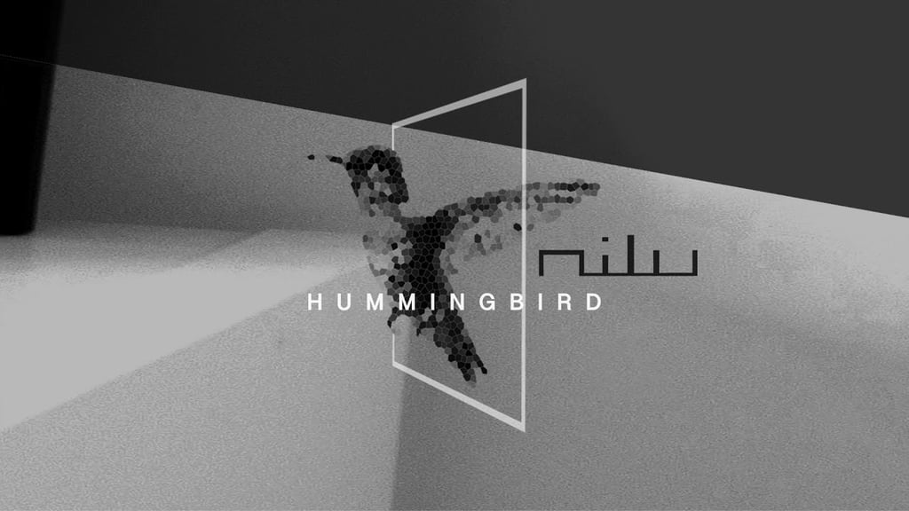 "Hummingbird" by Nilu