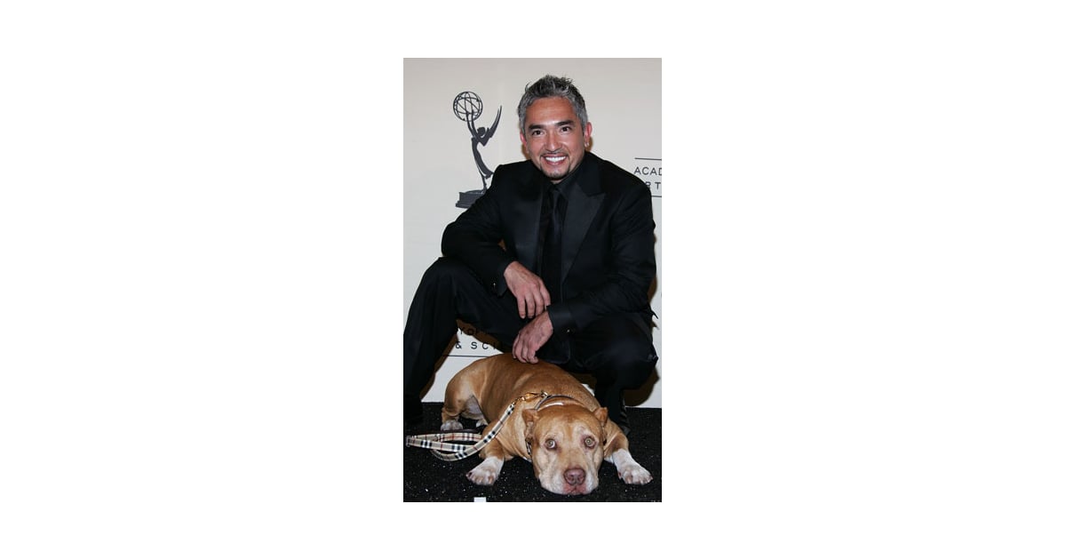 Cesar Millan S Dog Died Popsugar Pets