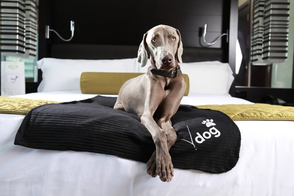 Vdara Hotel & Spa in Las Vegas