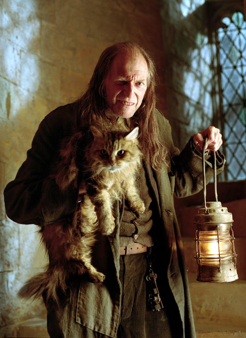 David Bradley as Argus Filch
