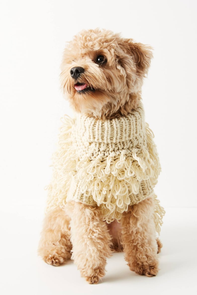 Curly Dog Sweater