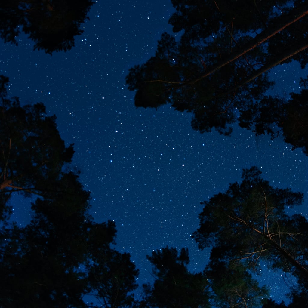The Virgo New Moon Is Here to Help You Get Your Sh*t Together