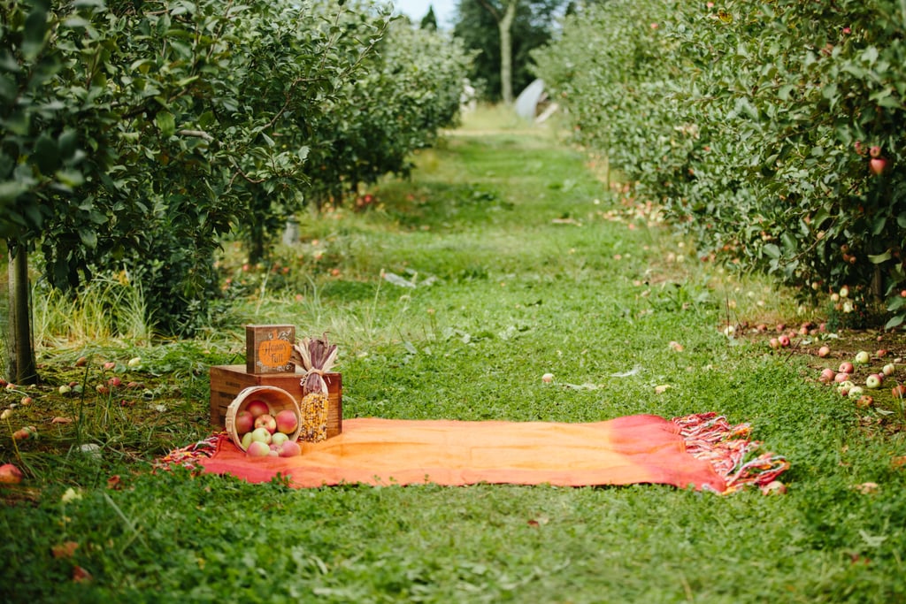 Apple Orchard Engagement Shoot