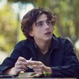 12个最好的电影主演Timothee Chalamet