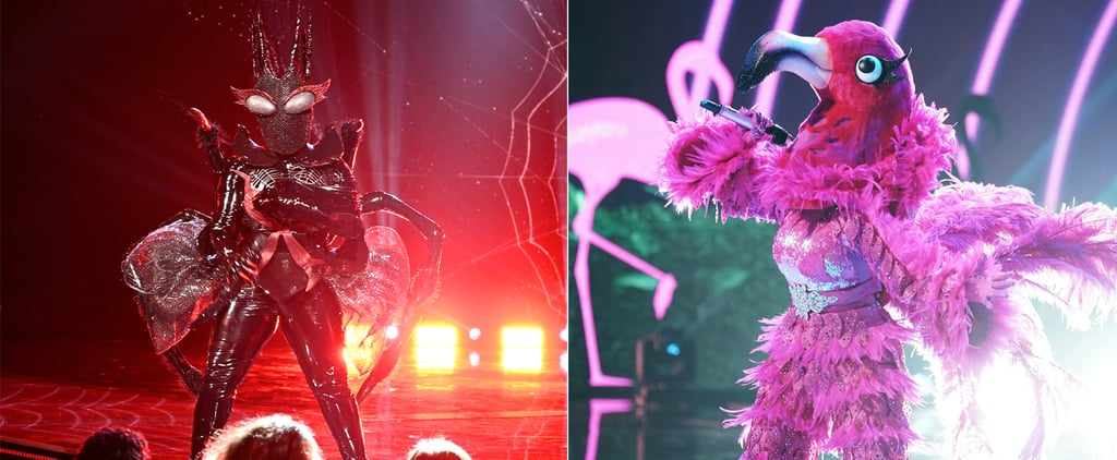 Who Are The Flamingo And Black Widow On The Masked Singer