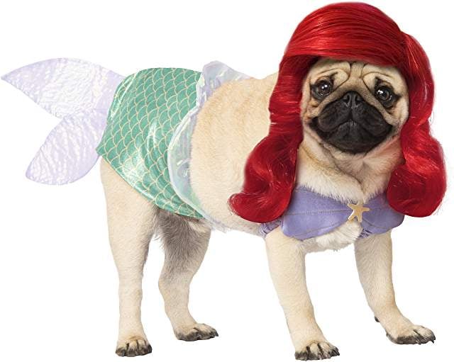 Ariel Dog Halloween Costume