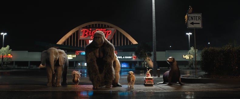 THE ONE AND ONLY IVAN, from left: Ruby (voice: Brooklynn Prince), Henrietta the chicken (voice: Chaka Khan), Ivan (voice: Sam Rockwell), Bob the dog (voice: Danny DeVito), Murphy the rabbit (voice: Ron Funches), Frankie the seal (voice: Mike White), Thelm