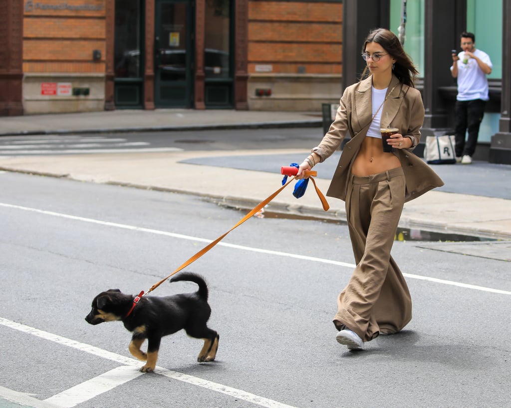 Emily Ratajkowski in Crop Top and Low-Slung Pants in NYC | POPSUGAR