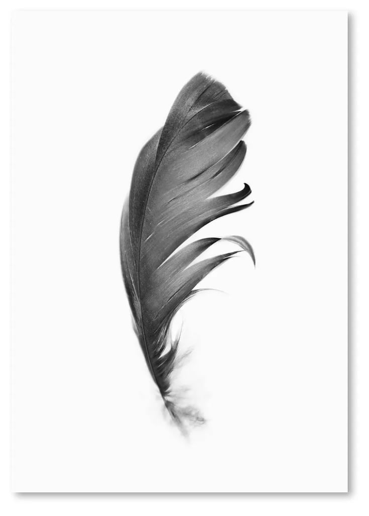 Americanflat Black Feather by Sisi and Seb Unframed Print