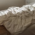I Have "Sleep Supportive Family" Trauma, but I'm Trying to Nap Anyway