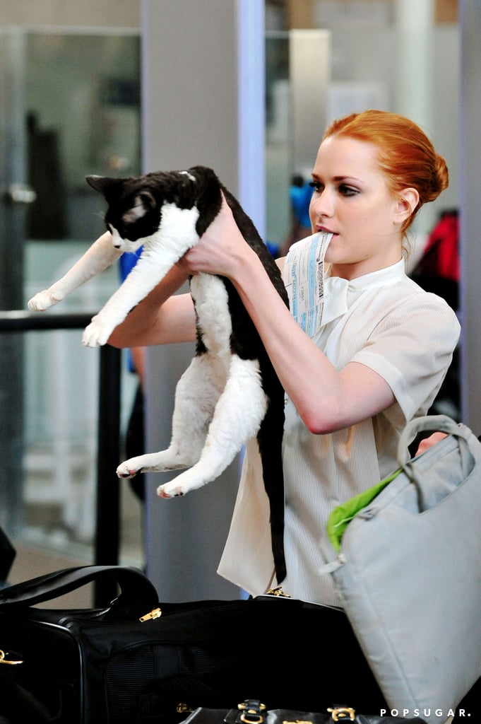 Evan Rachel Wood