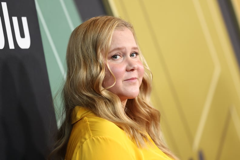 Amy Schumer; IVF