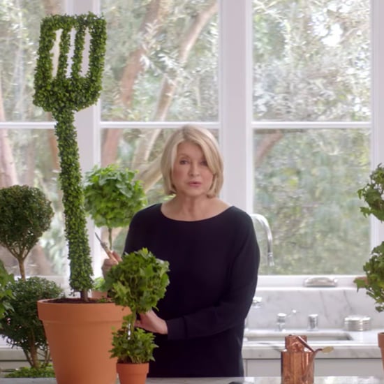 Martha Stewart and Snoop Dogg's T-Mobile Super Bowl Ad