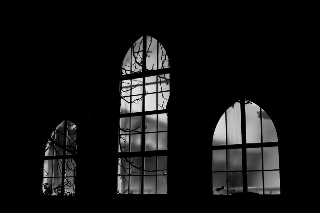 This aesthetic is probably one of the more genuinely creepy of all of these aesthetics, so it's perfect for anyone who genuinely enjoys all things weird and eerie. It also has many subgenres, including Gothic vampire, which resembles the general Gothic Halloween aesthetic but tends to emphasize expensive-looking velvet upholstery, velvet gowns, bats, heavy jewelry, tables overflowing with candles, and red lipstick for fashionistas. There's also Victorian Gothic, which features plenty of skeletons in jars, skulls, corsets, and black and white lace. 
A Gothic Halloween party would likely involve lots of people in fabulous long gowns and suits milling around a mansion that looks like it should have been condemned a long time ago, wearing dark lipstick and sipping a red substance that could be wine or blood. Slightly unnerving classical music is all you need for the soundtrack, though new wave and goth rock can also fit this vibe well.