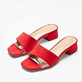 inexpensive mules