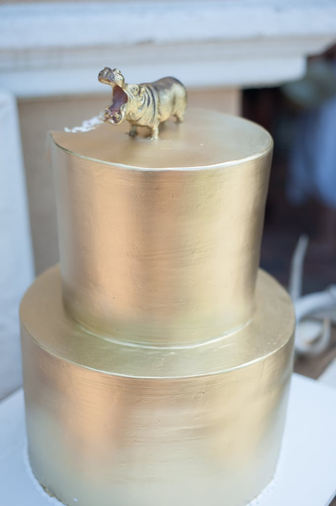 Safari First Birthday Party