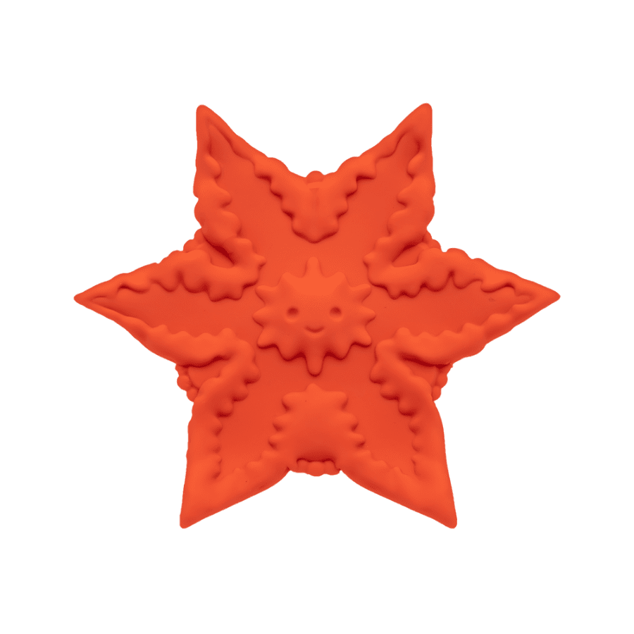 Cute Little Fucker Coral Star
