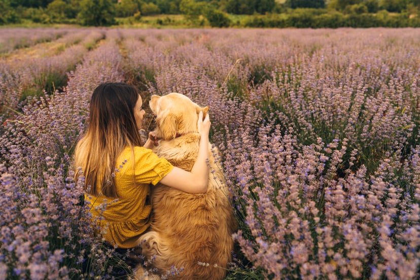 Photo of a young woman and her dog enjoying the lavender field on a beautiful sunny day; beautiful and peaceful weekend getaway, far from the hustle of the city.