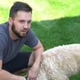 A Comedian Made a Video Comparing Dog and Cat Owners, and It's Just Hilarious