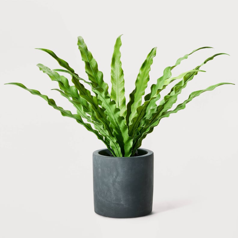 An Artificial Nest Fern Plant