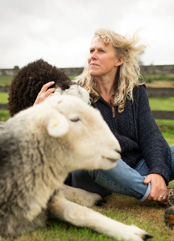 Guided Meditation With Sleepy Sheep