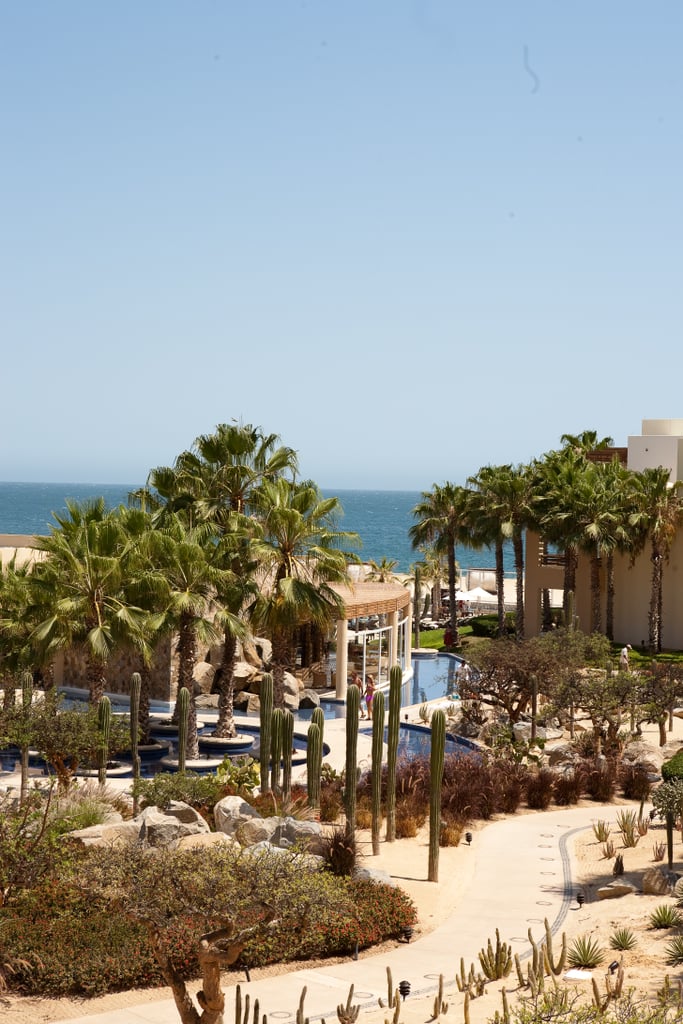 Beach Wedding in Cabo San Lucas