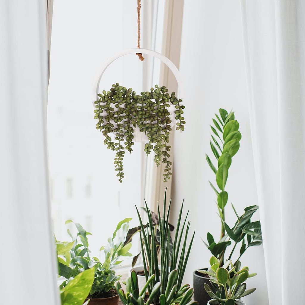 Faux Succulents on Amazon POPSUGAR Home