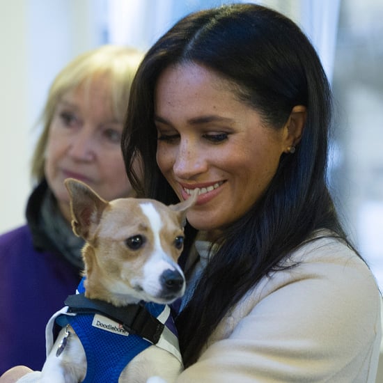 Meghan Markle With Animals Pictures