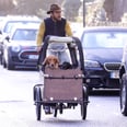 James Middleton Bikes His Dogs Around London, and They're Not the Only Ones Drooling