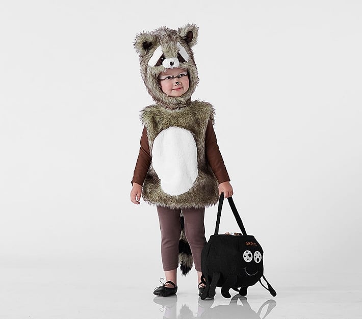 Pottery Barn Kids Raccoon Costume | Animal Halloween Costumes For Kids