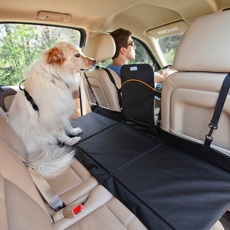 Backseat Bridge