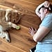 Golden Retriever Playing Lazy Game of Fetch
